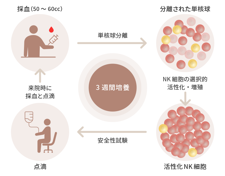 NK療法の手順の図